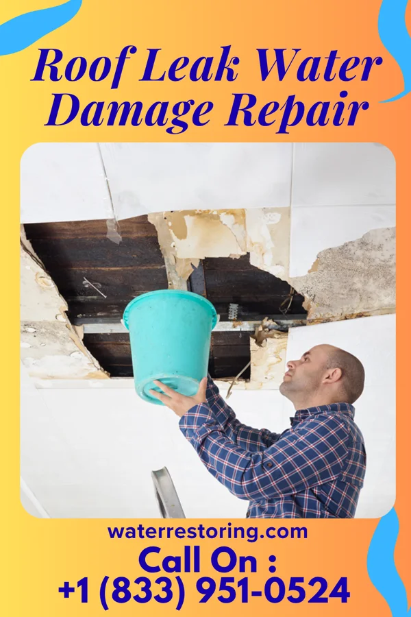 Roof Leak Water Damage Repair in Saratoga, NC