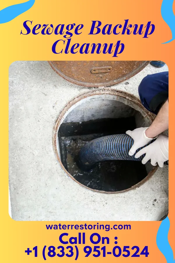 Sewage Backup Cleanup in Saratoga, NC